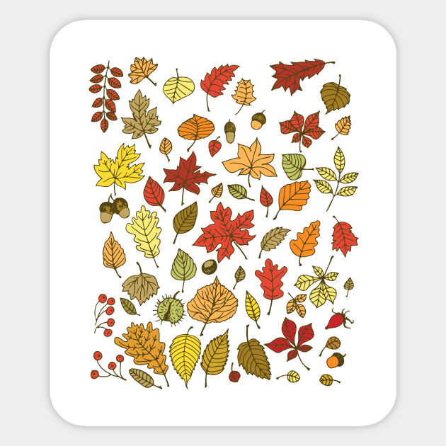 Autumn leaves, nuts and berries Sticker by katerinamk